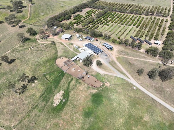 Drone flyover of slaughterhouse