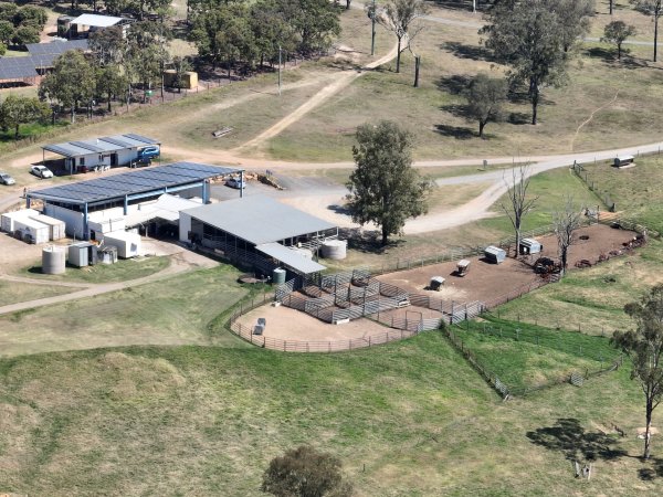 Drone flyover of slaughterhouse