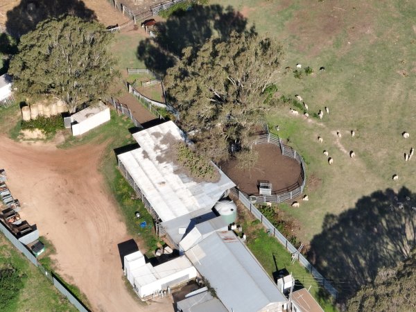 Drone flyover of slaughterhouse