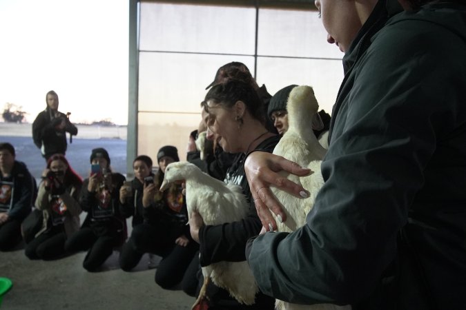 Protest at Luv-A-Duck slaughterhouse