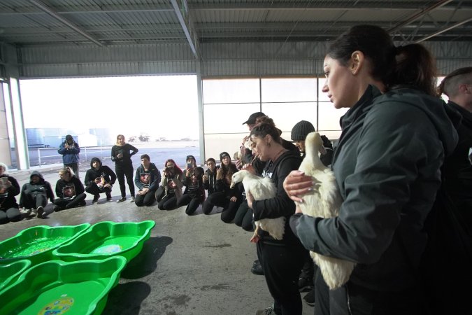 Protest at Luv-A-Duck slaughterhouse