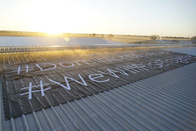 Protest at Luv-A-Duck slaughterhouse