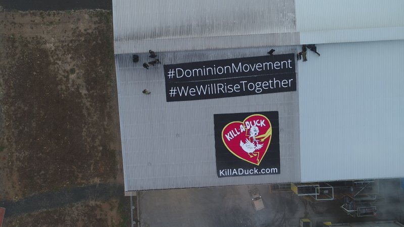 Protest at Luv-A-Duck slaughterhouse