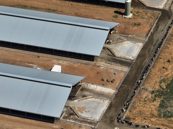 Drone flyover of zero graze sheds