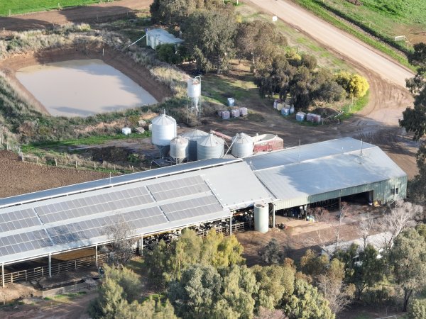 Drone flyover of milking shed