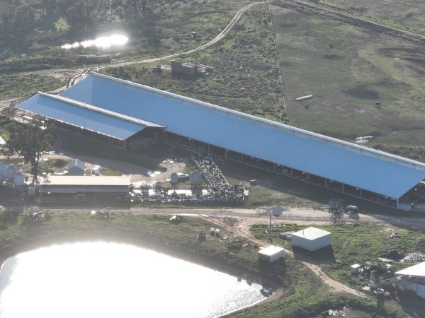 Drone flyover of Vinnicombe dairy