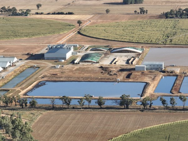 Drone Flyover - AFMH Coomboona (milking)