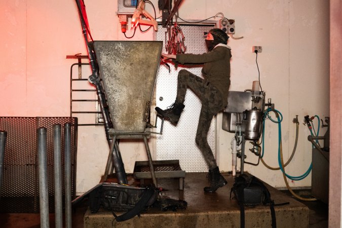 Investigator climbing in kill room