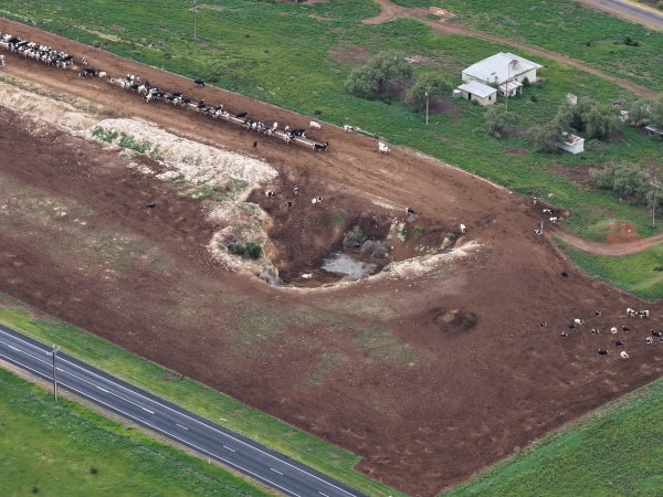 Tripe T Farms Drone flyover