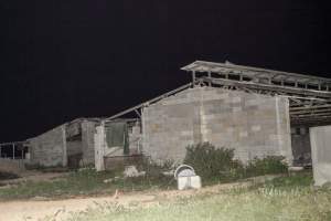 Crumbling grower sheds - After closure of farm - Captured at Wally's Piggery, Jeir NSW Australia.