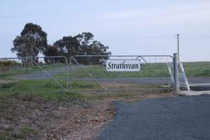 Sign at front of property - Australian pig farming - Captured at Strathvean Piggery, Tarcutta NSW Australia.