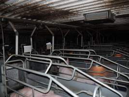 Farrowing crates at Golden Grove Piggery NSW - Australian pig farming - Captured at Golden Grove Piggery, Young NSW Australia.