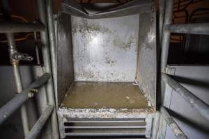 Feed tray in empty farrowing crate - Australian pig farming - Captured at Golden Grove Piggery, Young NSW Australia.