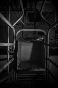 Feed tray in empty farrowing crate - Australian pig farming - Captured at Golden Grove Piggery, Young NSW Australia.