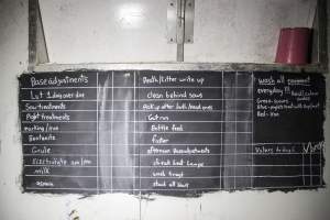 Farrowing checklist - Australian pig farming - Captured at Golden Grove Piggery, Young NSW Australia.