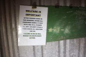 Notice on wall: 'Welfare is important' - Australian pig farming - Captured at Corowa Piggery & Abattoir, Redlands NSW Australia.