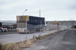 Full trucks of chickens entering the slaughterhouse. - Captured at Baiada Poultry, Laverton North VIC Australia.