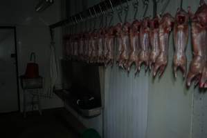 Slaughtered and skinned rabbits hanging in home slaughterhouse - 'Tasmanian Fresh Farmed Rabbits' - Captured at Tasmanian Fresh Farmed Rabbits (Glencroft Farm), Penguin TAS Australia.