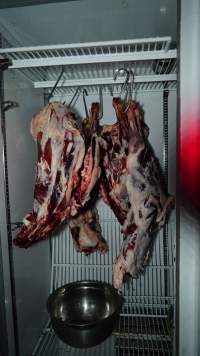 Flesh of unknown slaughtered animals hanging in fridge - 'Tasmanian Fresh Farmed Rabbits' - Captured at Tasmanian Fresh Farmed Rabbits (Glencroft Farm), Penguin TAS Australia.