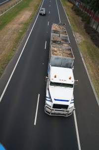 Sheep skins in truck on highway - Captured at VIC.