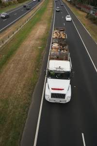 Cow skins on truck - Captured at VIC.