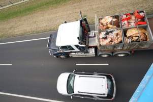 Cow skins on truck - Captured at VIC.