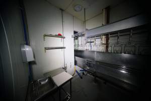 Kill room - Captured at Luv-A-Duck Abattoir, Nhill VIC Australia.
