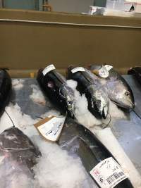 Shark bite on tuna - Captured at Sydney Fish Market, Pyrmont NSW Australia.