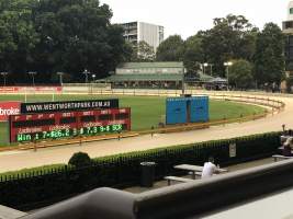 Wentworth Park Greyhounds - View of the raceday kennels and stir up area, from the stands. - Captured at Wentworth Park, Glebe NSW Australia.