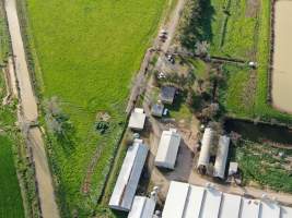 Drone flyover - Captured at Girgarre Piggery, Girgarre VIC Australia.