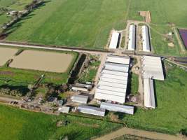 Drone flyover - Captured at Girgarre Piggery, Girgarre VIC Australia.