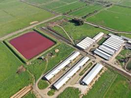 Drone flyover - Captured at Girgarre Piggery, Girgarre VIC Australia.