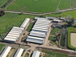 Drone flyover - Captured at Girgarre Piggery, Girgarre VIC Australia.