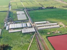 Drone flyover - Captured at Girgarre Piggery, Girgarre VIC Australia.