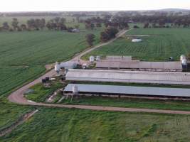 Drone flyover - Captured at Gowanbrae Piggery, Pine Lodge VIC Australia.
