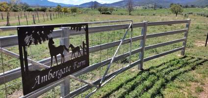 Sign - Ambergate Farm - Ambergate Stud sends horses including ex-racehorses to Kankool Pet Food knackery. - Captured at Ambergate Farm Stud, Scone NSW Australia.