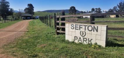 Sign - Sefton Park Stud - Sefton Park Stud sends horses to Kankool Pet Food knackery. - Captured at Sefton Park Thoroughbreds, Scone NSW Australia.