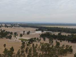 Aerial view - From drone - Captured at Nagambie Breeder, Bailieston VIC Australia.