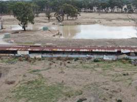 Aerial view - From drone - Captured at Reedy Lake Grower, Whroo VIC Australia.