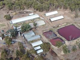 Aerial view - From drone - Captured at Maysleith Piggery - Farm 1, Rushworth VIC Australia.