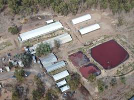 Aerial view - From drone - Captured at Maysleith Piggery - Farm 1, Rushworth VIC Australia.