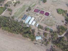 Aerial view - From drone - Captured at Maysleith Piggery - Farm 2, Rushworth VIC Australia.