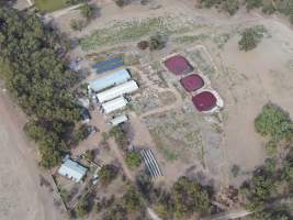 Aerial view - From drone - Captured at Maysleith Piggery - Farm 2, Rushworth VIC Australia.