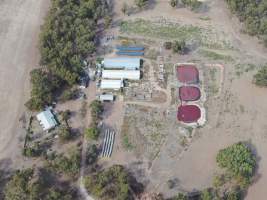 Aerial view - From drone - Captured at Maysleith Piggery - Farm 2, Rushworth VIC Australia.