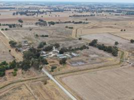 Aerial view - From drone - Captured at Unknown piggery, Kyabram VIC Australia.