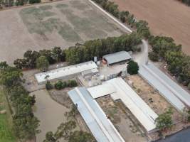 Aerial view - From drone - Captured at Markanda Piggery, Wyuna East VIC Australia.