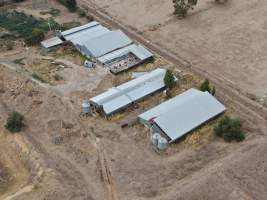 Aerial view - From drone - Captured at Unknown piggery, Tongala VIC Australia.