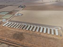 Aerial view - From drone - Captured at Southern Banks Piggery, Torrumbarry VIC Australia.