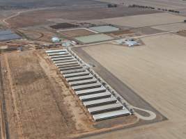 Aerial view - From drone - Captured at Southern Banks Piggery, Torrumbarry VIC Australia.