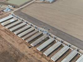 Aerial view - From drone - Captured at Southern Banks Piggery, Torrumbarry VIC Australia.